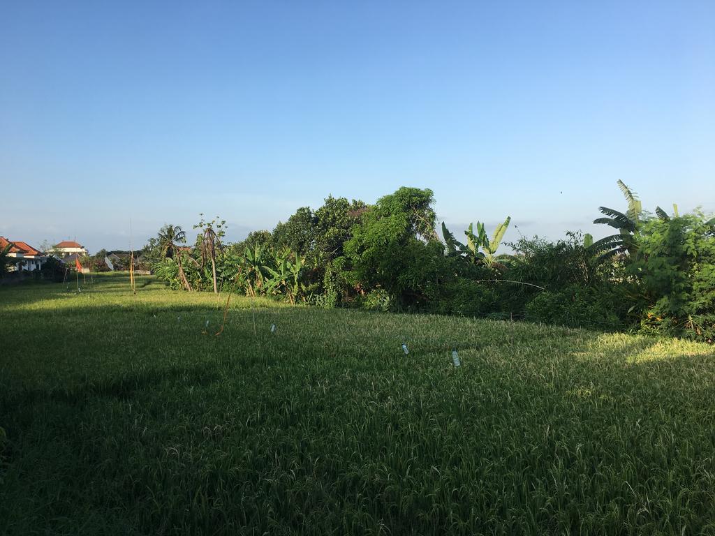 Gangga Guest House Canggu  Bagian luar foto